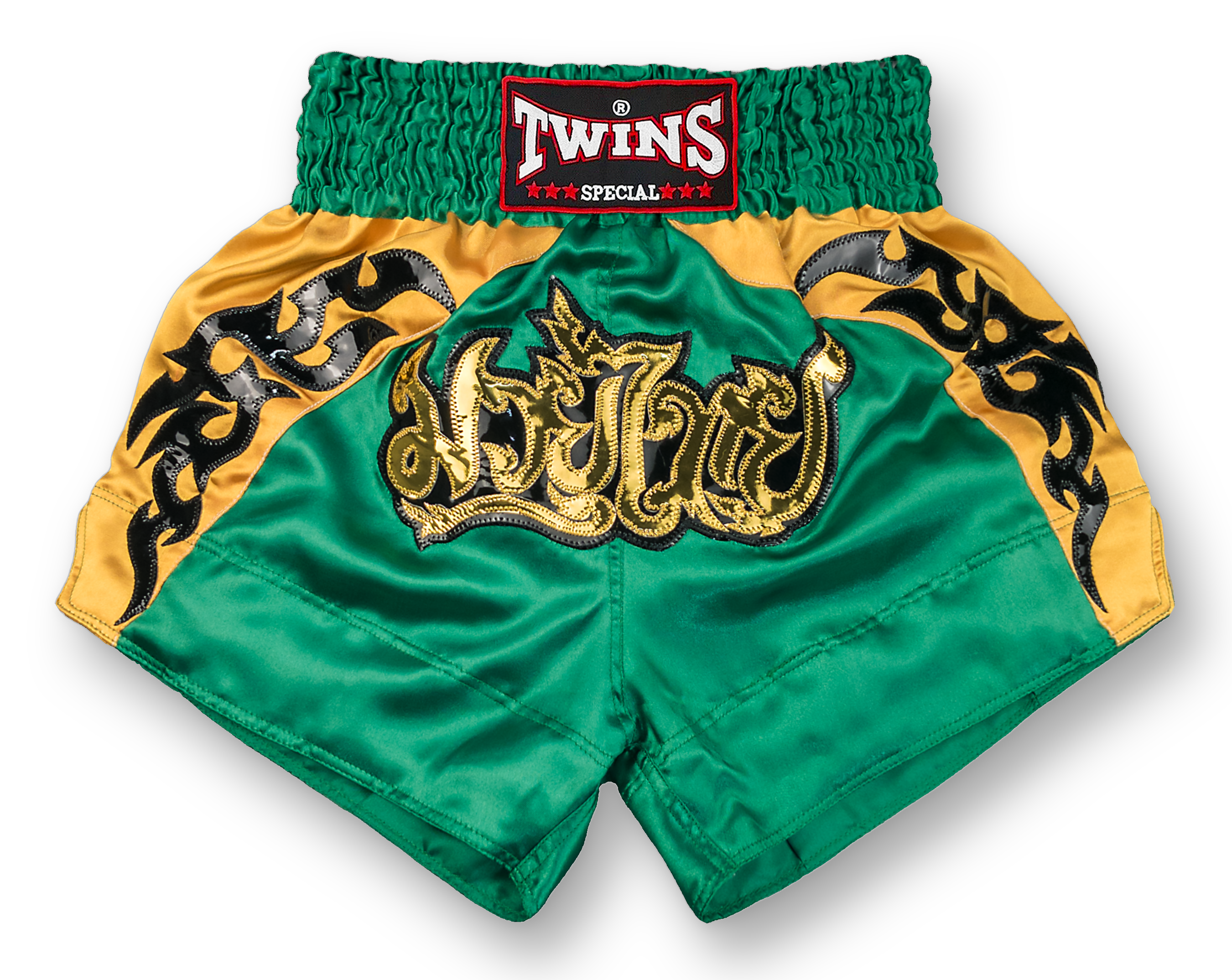 TWINS Muay Thai Shorts- TN0234