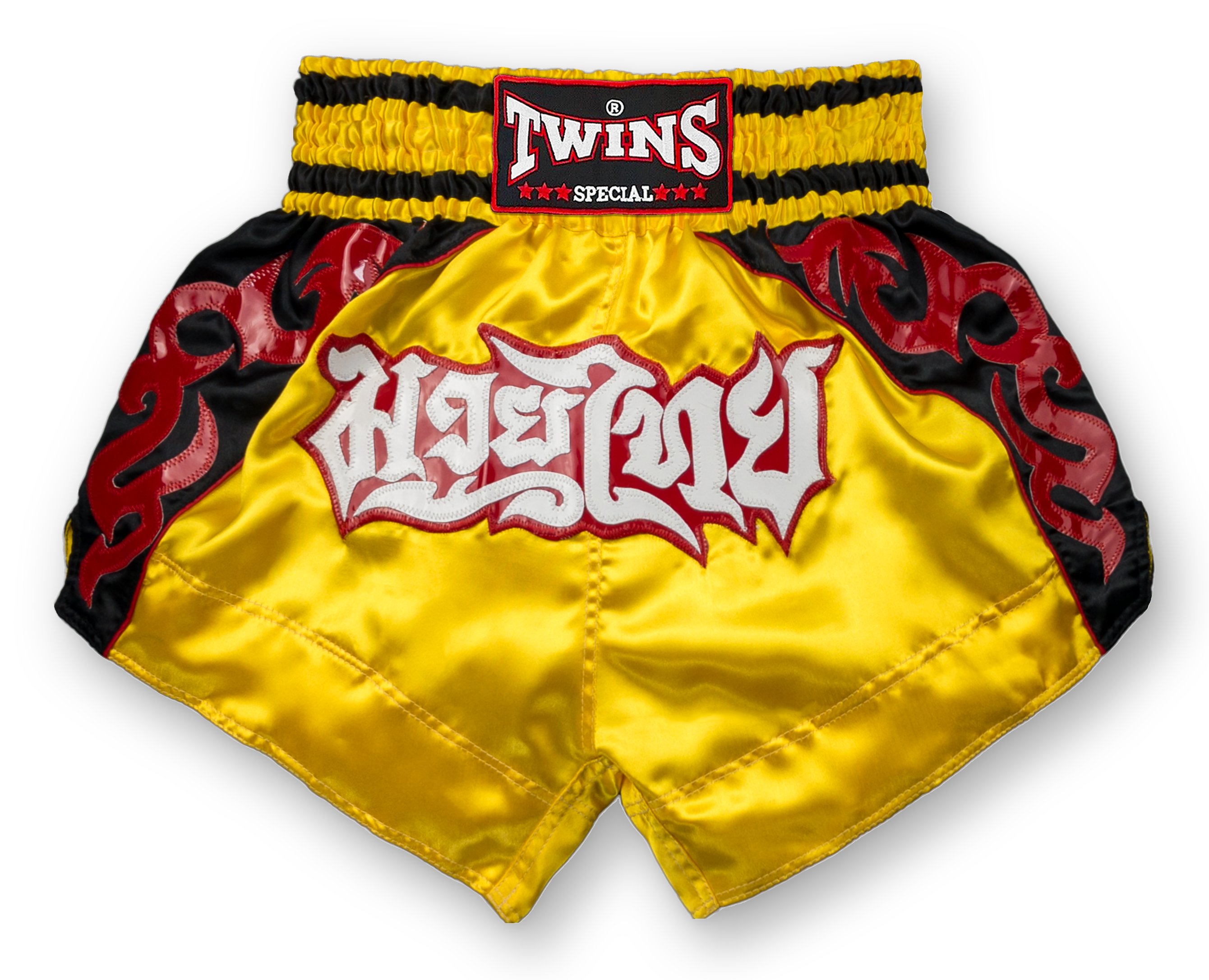 TWINS Muay Thai Shorts- TN0246