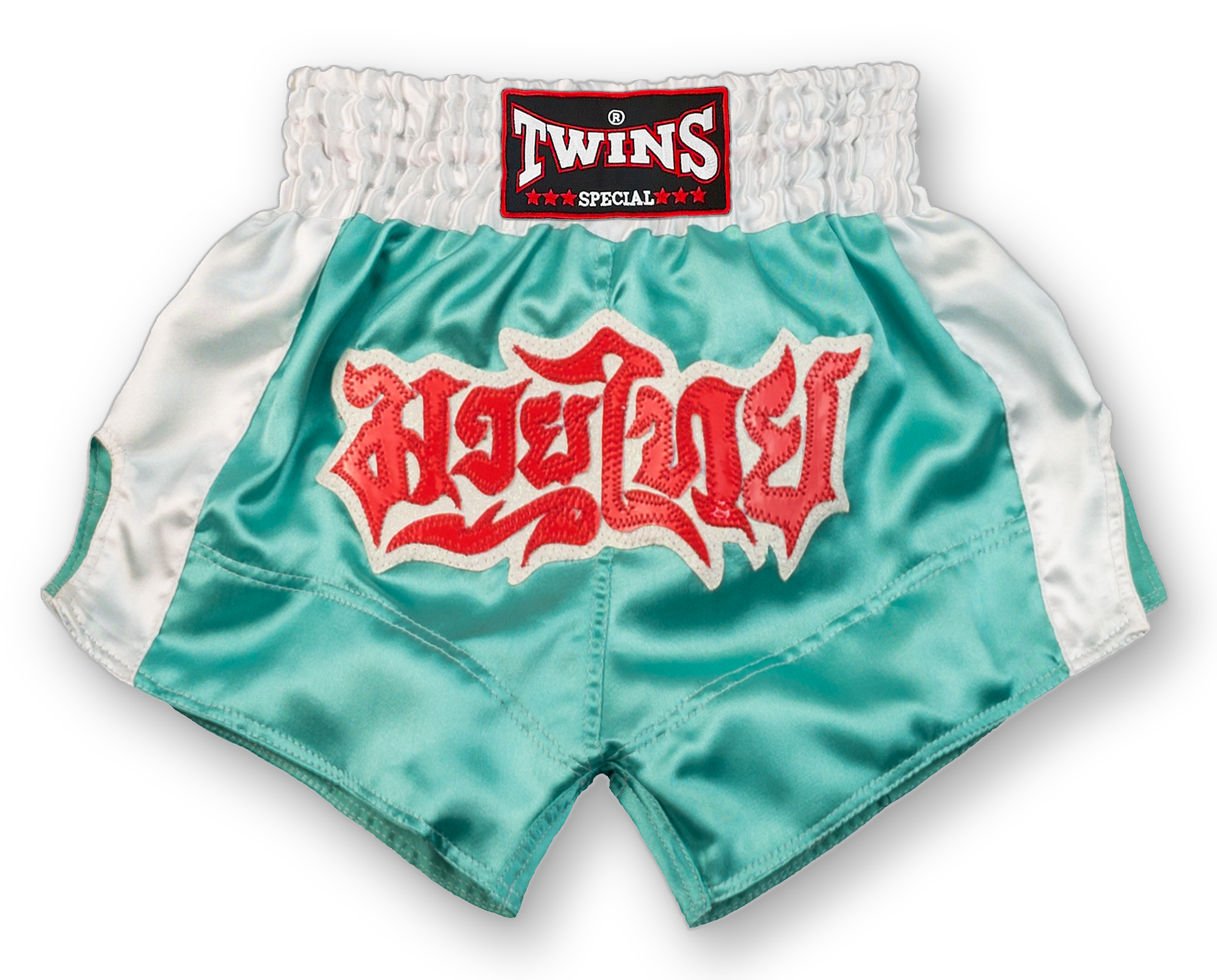 TWINS Muay Thai Shorts- TN0261