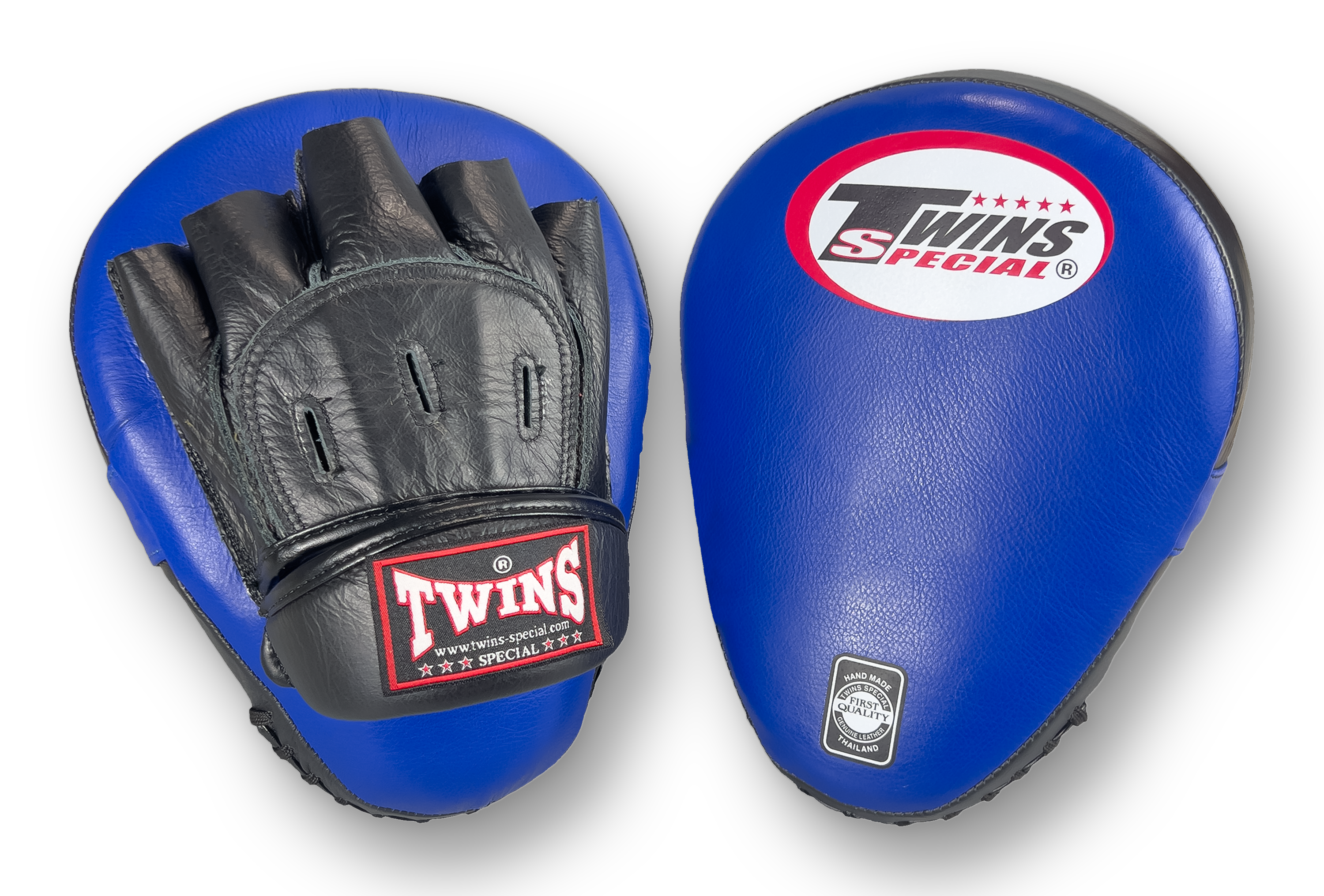 TWINS Punching Mitts - Blue
