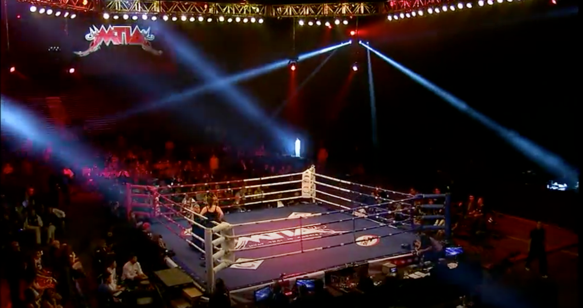 Boxing Gloves