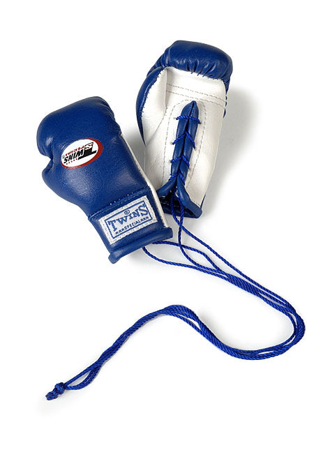 TWINS - Miniature Boxing Gloves