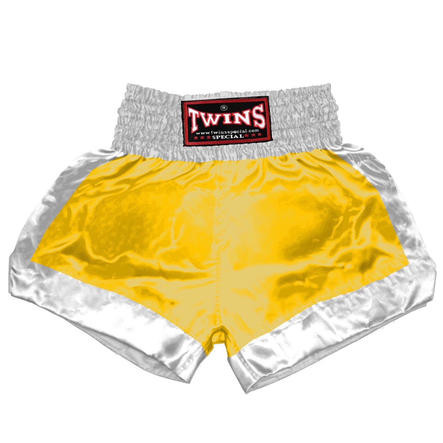 TWINS Muay Thai Shorts - Dual - Classic Tones - Border Bands - White - Legs - Black, Grey, Gold, Silver