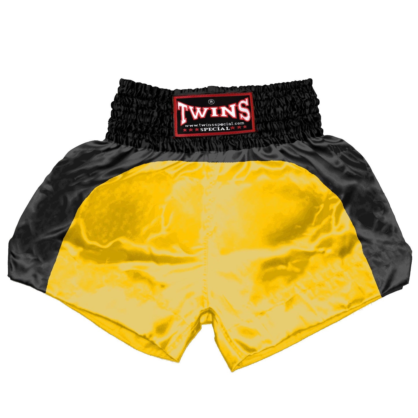 TWINS Muay Thai Shorts - Dual - Classic Tones - Arch - Black - Legs - Grey, White, Gold, Silver