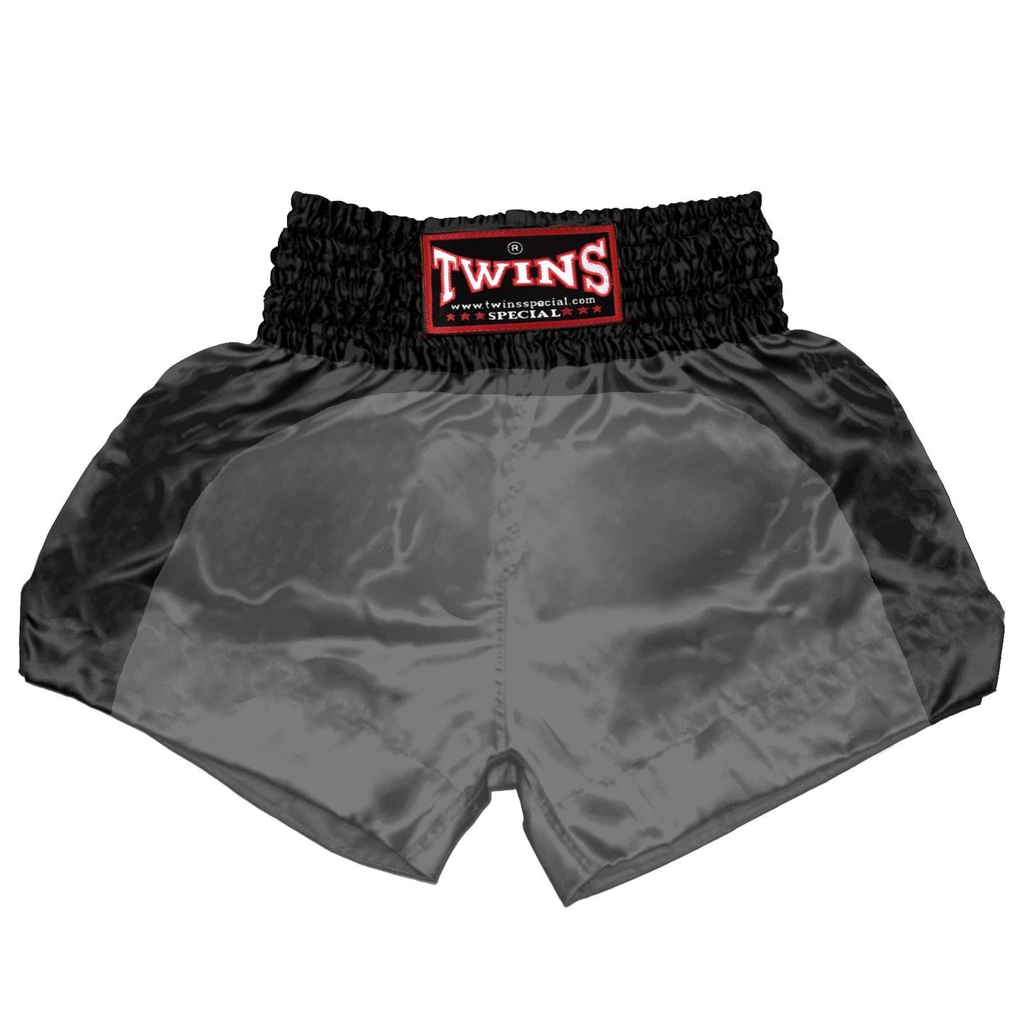 TWINS Muay Thai Shorts - Dual - Classic Tones - Arch - Black - Legs - Grey, White, Gold, Silver