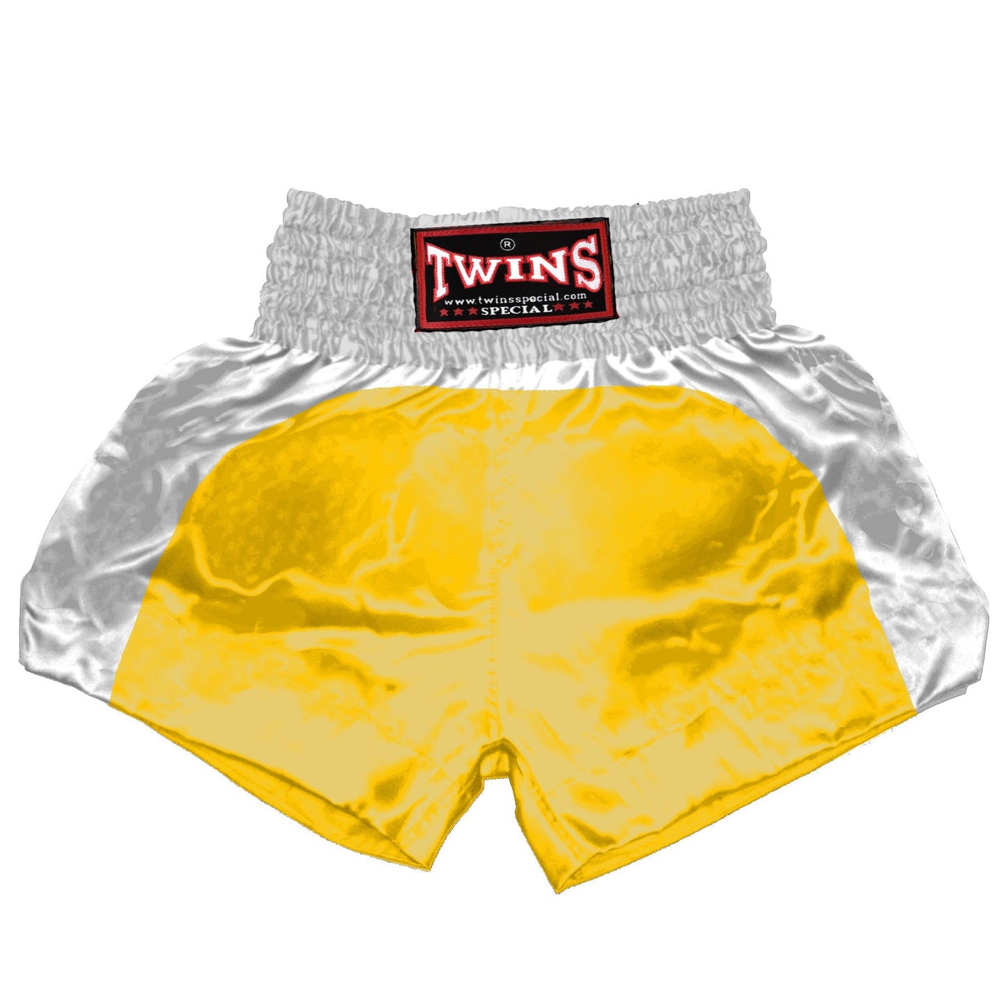 TWINS Muay Thai Shorts - Dual - Classic Tones - Arch - White - Legs - Grey, White, Gold, Silver