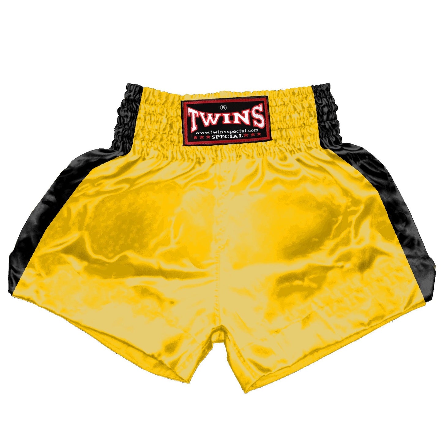 TWINS Muay Thai Shorts - Dual - Classic Tones - Sidebands - Black - Legs - Grey, White, Gold, Silver