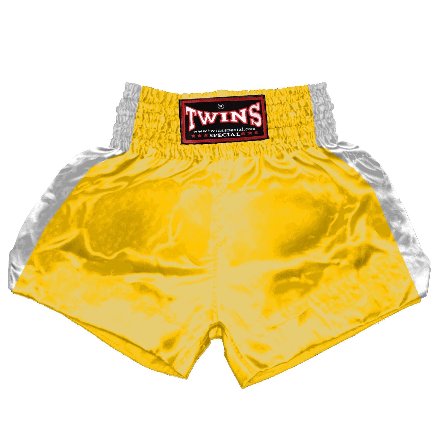 TWINS Muay Thai Shorts - Dual - Classic Tones - Sidebands - White - Legs - Grey, White, Gold, Silver