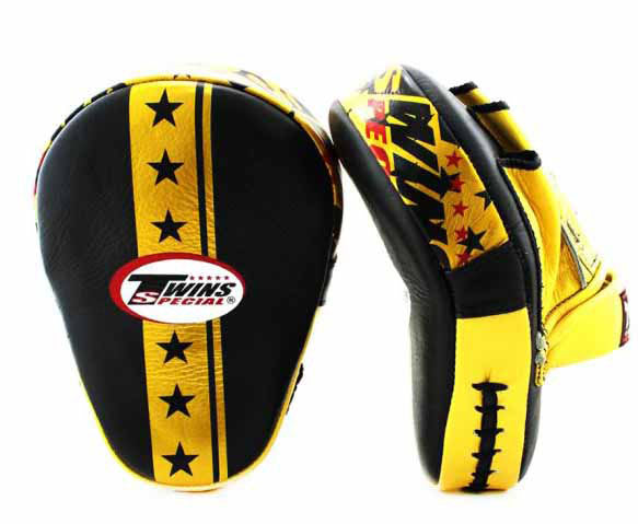 TWINS Punching Mitts - Signature - TWINS Boxing, MMA & Muay Thai - Gold, Silver